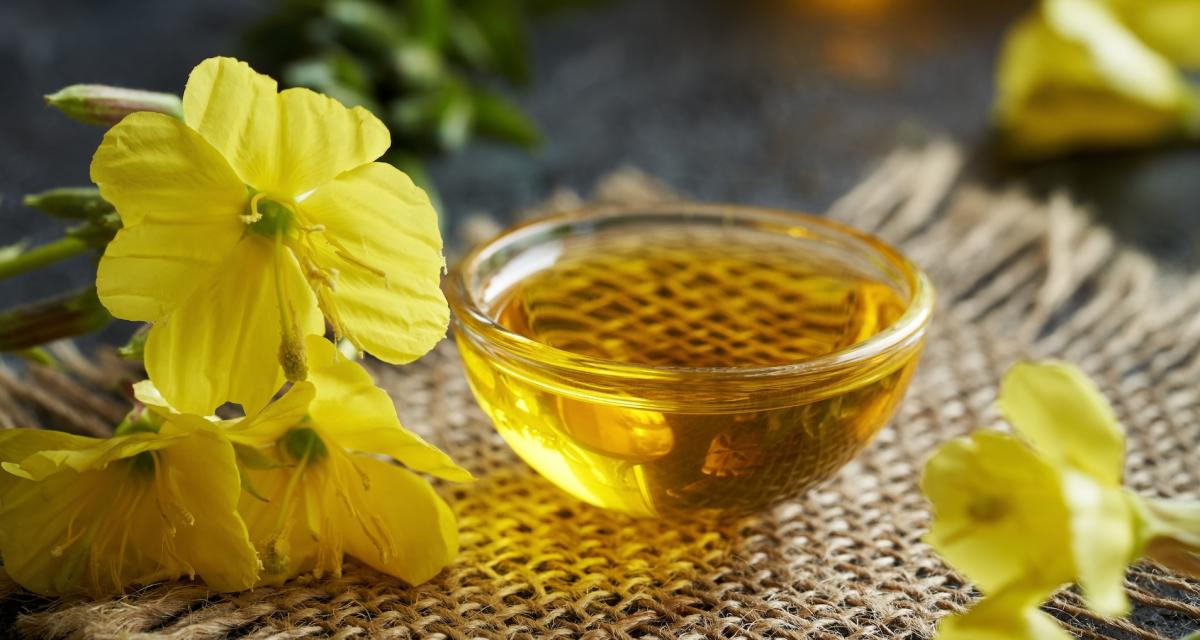 Evening Primrose Extract